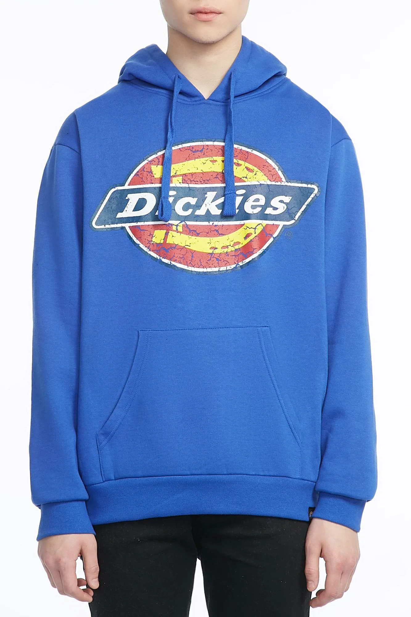 Dickies Guys Graphic Fleece Popover Hoodie