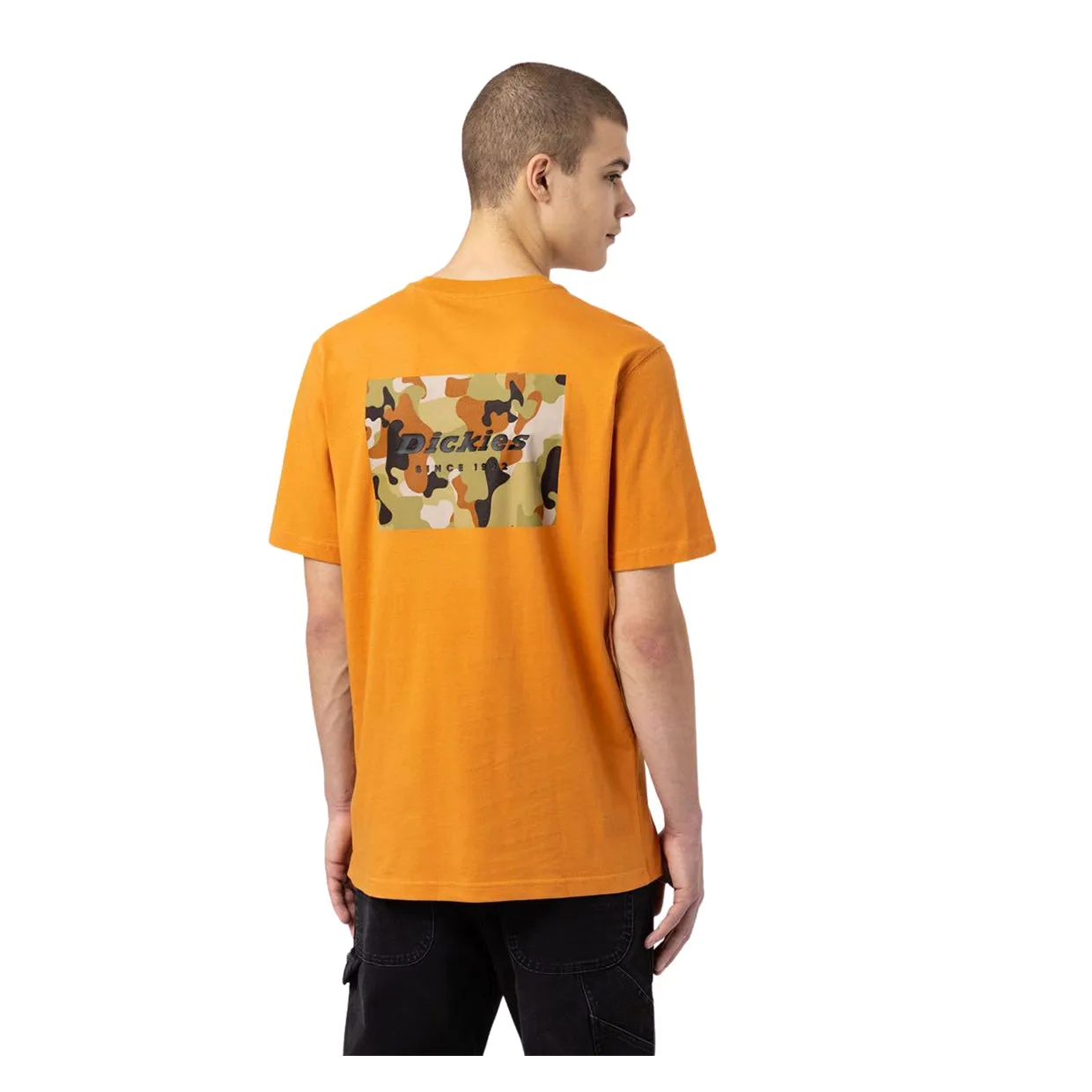 T-shirt Dickies Artondale Arancione